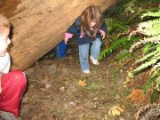 10.21.06 Wauna Viewpoint 085